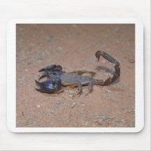 Scorpion Tapis De Souris