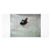 Se pencher autour cartes de vœux avec photo