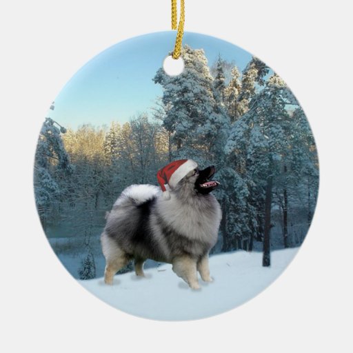 Se précipiter par la neige… ornements de noël