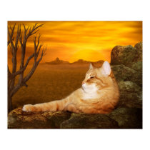 Se reposer le chat posters