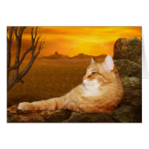 Se reposer le chat cartes