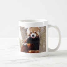 séance de panda rouge tasses à café