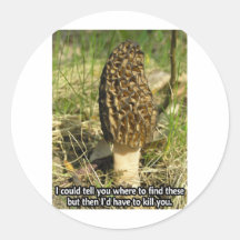 Secret du chasseur de morelle adhésifs