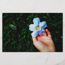 Sélection d'une fleur prospectus