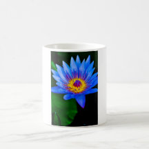 Sérénité Mugs
