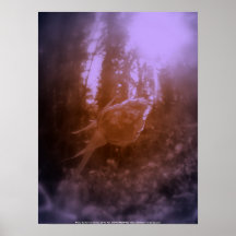 s'est levé dans la neige, teintée poster