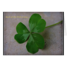 Shamrock du jour de St Patrick Cartes De Vœux