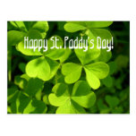 Shamrocks verts, carte postale du jour du paddy de