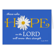 Shasta Daisy Hope in de Kaart van het 40:31 van Lo