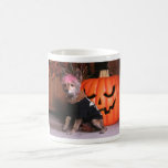 Shelby - Pomeranian/Terrier Koffie Mokken