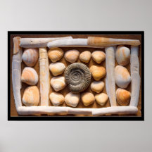 shell beeldhouwwerk print
