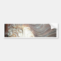 SHELL BUMPERSTICKERS