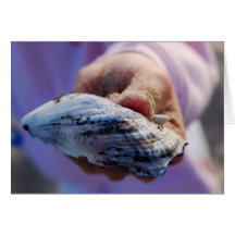 Shell Kaart
