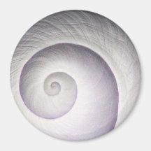 Shell Magneten