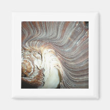 SHELL MAGNETEN