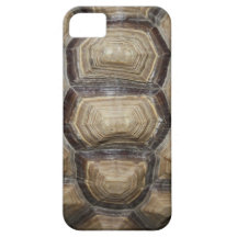 Shell van de schildpad iphone 5 van Apple geval