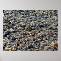 Shells en Kiezelstenen Afdruk