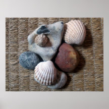 Shells op seagrass poster