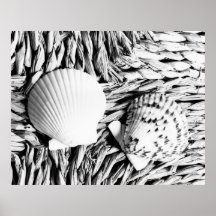 Shells Plaat