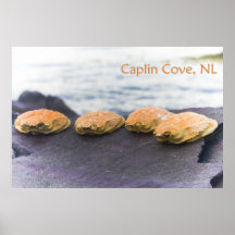 Shells van de krab in Inham Calplin Plaat