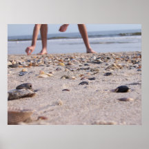 Shells van het strand plaat