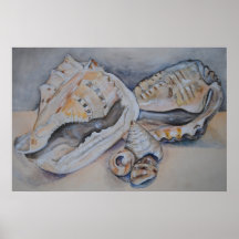 Shells van het zee Druk Posters