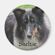Sheltie Koelkast Magneetjes