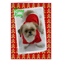 shih van tzu leuke santa van tzulhasa de hondKerst