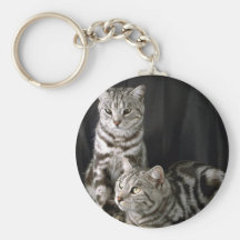 Shorthair britannique, chat tigré argenté porte-clé