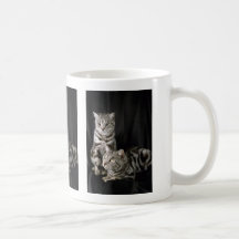 Shorthair britannique, chat tigré argenté tasse