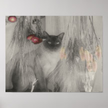 Siamese Kat die het Gedeeltelijke Poster van de Kl