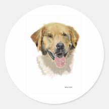 Sig de golden retriever adhésifs