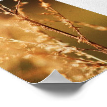 Signes d'automne posters