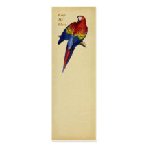 Signet rouge et jaune de Maccaw Modèles De Cartes De Visite