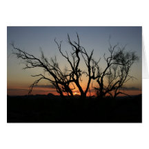 Silhouette de coucher du soleil cartes de vœux