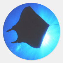 Silhouette de rayon de Manta Adhésif Rond