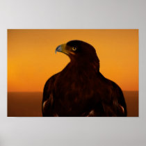 Silhouette d'Eagle au coucher du soleil Poster