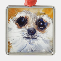 Simples! Meerkat Ornamenten