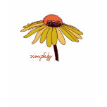 Simplifiez - le T-shirt des femmes organiques de c