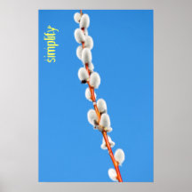 Simplifiez Poster