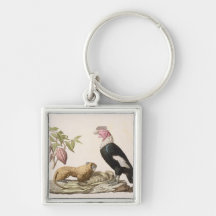 Singe et condor de lion, indigènes au Chili ou en  Porte-clef