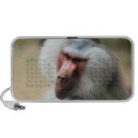 Singes allo haut-parleurs iPod
