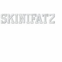 Skinifatz a brodé la chemise polo brodé