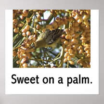 Snoepje op een palm print
