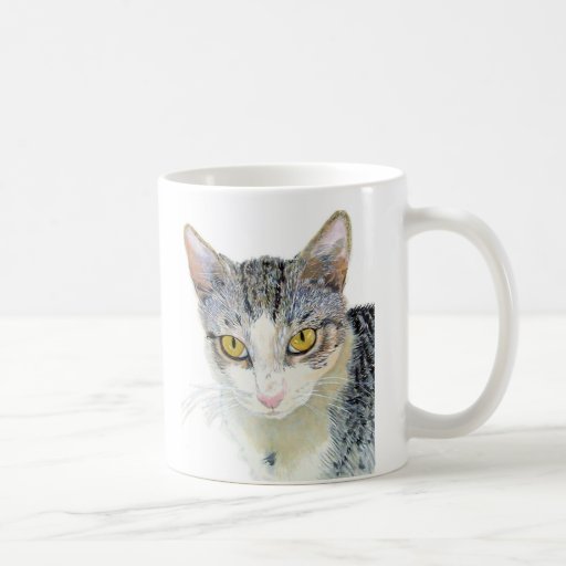 Snoshu la tasse de chat