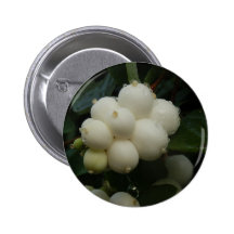 Snowberries Speld Buttons