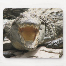 Soigneux Tapis De Souris
