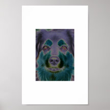 Solarized Affiche