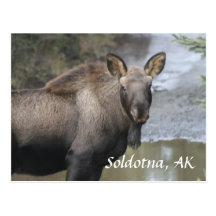 , Soldotna, AK Carte Postale