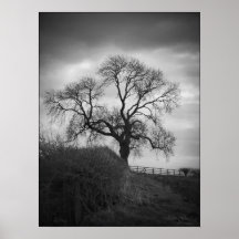 Solitude Posters
